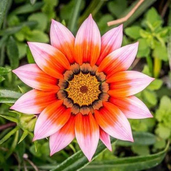 Meet your Posher, Pratima u - Picture 1 of 1